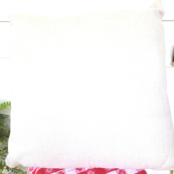 Princess Jasmine Beautiful Pillow Beautiful Clean 18" Square Zipper Closure 💙 - Picture 3 of 5